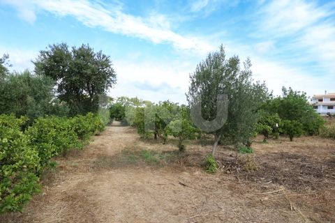 Helårsgrund i Albufeira, Faro, Albufeira - € 170.000 | Ref: UNU.I.1639.20554 - foto 7