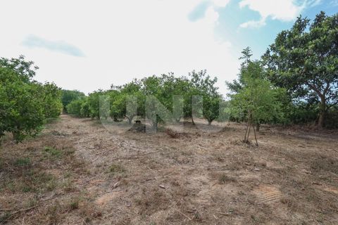 Helårsgrund i Albufeira, Faro, Albufeira - € 170.000 | Ref: UNU.I.1639.20554 - foto 8