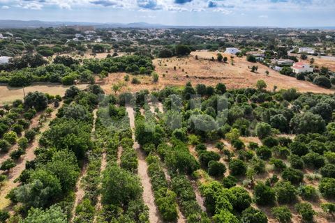 Helårsgrund i Albufeira, Faro, Albufeira - € 170.000 | Ref: UNU.I.1639.20554 - foto 12