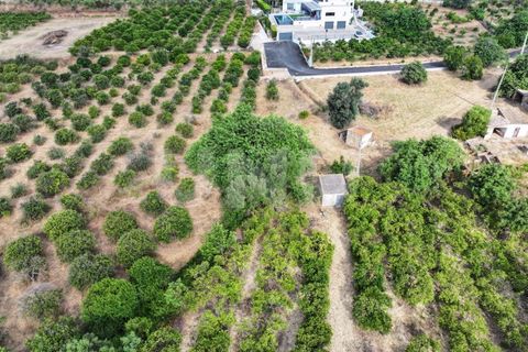 Helårsgrund i Albufeira, Faro, Albufeira - € 170.000 | Ref: UNU.I.1639.20554 - foto 15