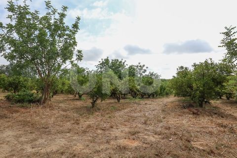 Helårsgrund i Albufeira, Faro, Albufeira - € 170.000 | Ref: UNU.I.1639.20554 - foto 17