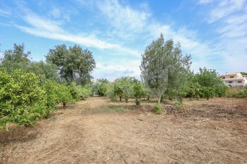 Helårsgrund i Albufeira, Faro, Albufeira - € 170.000 | Ref: UNU.I.1639.20554 - foto 19
