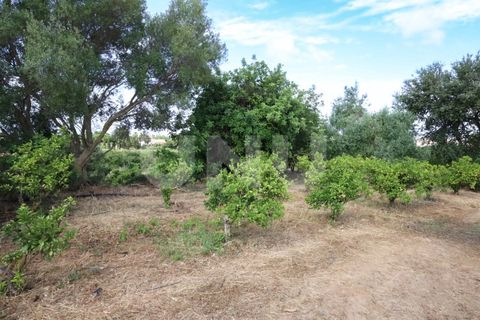 Helårsgrund i Albufeira, Faro, Albufeira - € 170.000 | Ref: UNU.I.1639.20554 - foto 20