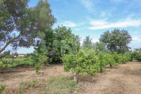 Helårsgrund i Albufeira, Faro, Albufeira - € 170.000 | Ref: UNU.I.1639.20554 - foto 21