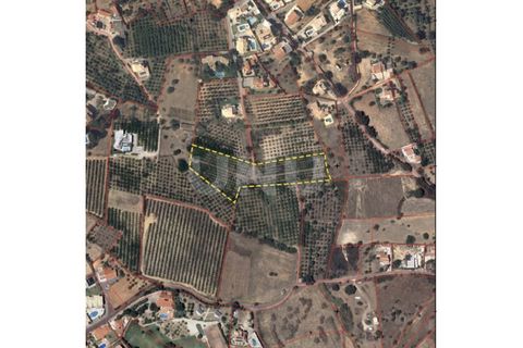 Helårsgrund i Albufeira, Faro, Albufeira - € 170.000 | Ref: UNU.I.1639.20554 - foto 23