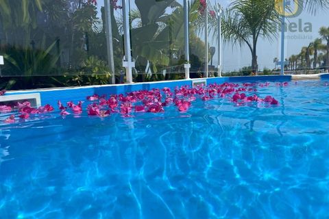 Farm i Moncarapacho, Faro, Moncarapacho - € 8.500.000 | Ref: QTA14013 - foto 4