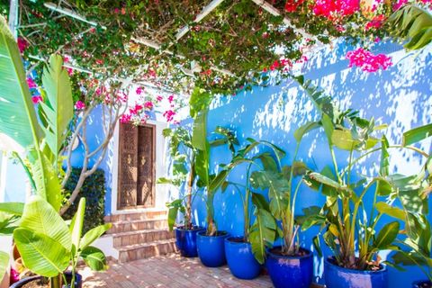 Farm i Moncarapacho, Faro, Moncarapacho - € 8.500.000 | Ref: QTA14013 - foto 10