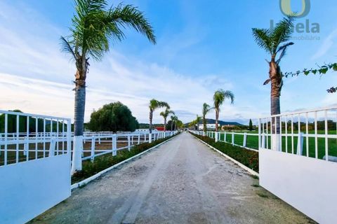 Farm i Moncarapacho, Faro, Moncarapacho - € 8.500.000 | Ref: QTA14013 - foto 33
