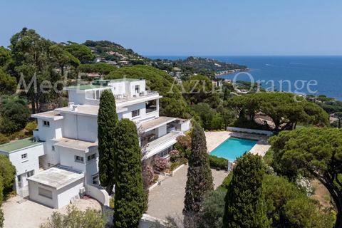 Landejendom i Sainte-Maxime, Var, Sainte-Maxime - € 6.500.000 | Ref: 86071748 - foto 12