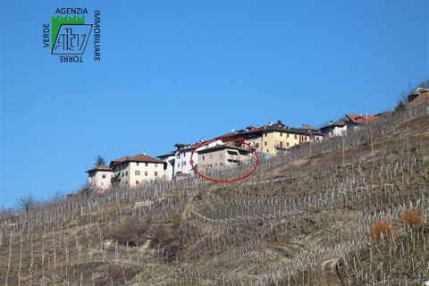 Villa a Ton, Trento, Ton - € 130.000 | Ref: 25-051MS - foto 5