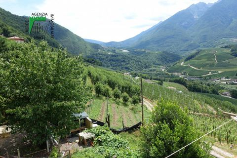 Villa a Ton, Trento, Ton - € 130.000 | Ref: 25-051MS - foto 9