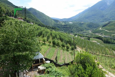 Villa a Ton, Trento, Ton - € 130.000 | Ref: 25-051MS - foto 11