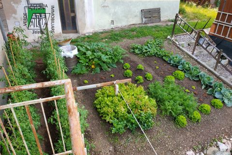 Villa a Ton, Trento, Ton - € 130.000 | Ref: 25-051MS - foto 13