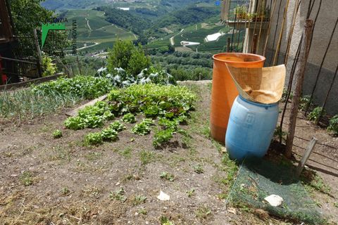 Villa a Ton, Trento, Ton - € 130.000 | Ref: 25-051MS - foto 18