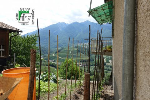 Villa a Ton, Trento, Ton - € 130.000 | Ref: 25-051MS - foto 32