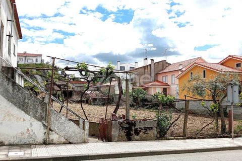 Villa a Miranda do Douro, Braganca, Miranda do Douro - € 145.000 | Ref: ZMPT577510 - foto 3