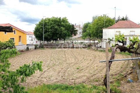Villa a Miranda do Douro, Braganca, Miranda do Douro - € 145.000 | Ref: ZMPT577510 - foto 5