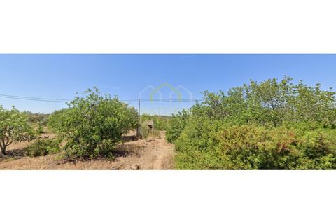 Helårsgrund i Moncarapacho, Faro, Moncarapacho - € 56.500 | Ref: TER_2834_VEND - foto 1
