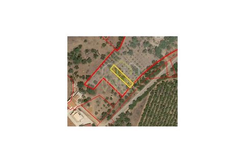 Helårsgrund i Moncarapacho, Faro, Moncarapacho - € 56.500 | Ref: TER_2834_VEND - foto 2