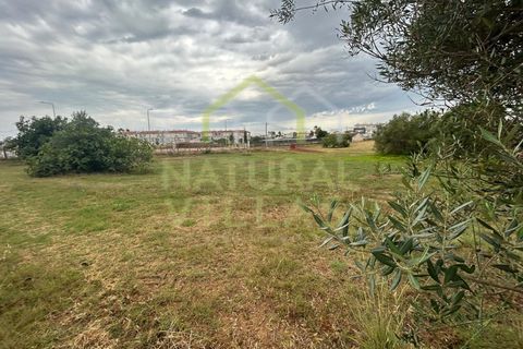 Helårsgrund i Tavira, Faro, Tavira - € 212.500 | Ref: TER_2833_VEND - foto 2