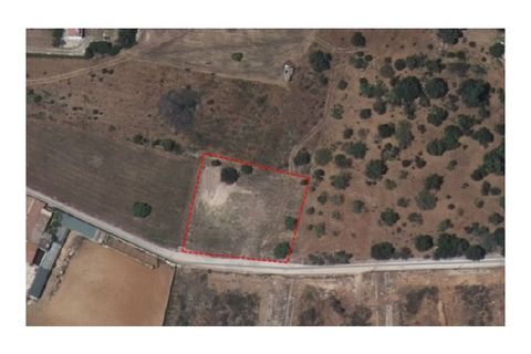 Helårsgrund i Tavira, Faro, Tavira - € 212.500 | Ref: TER_2833_VEND - foto 3
