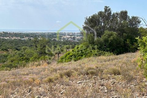 Helårsgrund i Estoi, Faro, Estoi - € 76.500 | Ref: TER_2830_VEND - foto 2