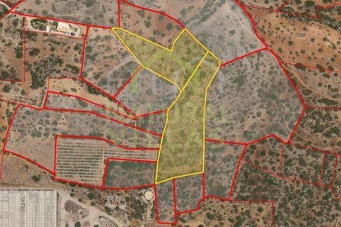 Helårsgrund i Estoi, Faro, Estoi - € 76.500 | Ref: TER_2830_VEND - foto 3