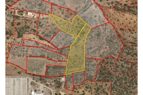 Helårsgrund i Estoi, Faro, Estoi - € 76.500 | Ref: TER_2830_VEND - foto 4