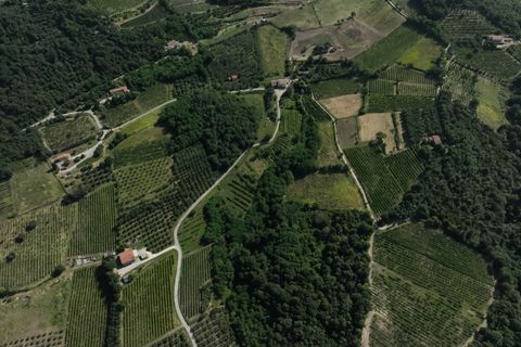 Helårsgrund i Cinto Euganeo, Padua, Cinto Euganeo - € 145.000 | Ref: TER 280 - foto 3