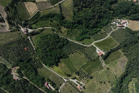 Helårsgrund i Cinto Euganeo, Padua, Cinto Euganeo - € 145.000 | Ref: TER 280 - foto 6