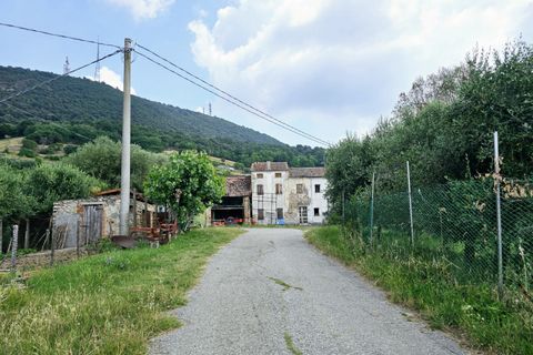 Helårsgrund i Cinto Euganeo, Padua, Cinto Euganeo - € 145.000 | Ref: TER 280 - foto 4