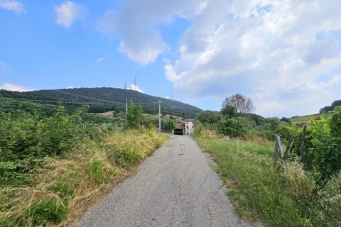Helårsgrund i Cinto Euganeo, Padua, Cinto Euganeo - € 145.000 | Ref: TER 280 - foto 5
