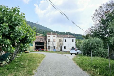 Helårsgrund i Cinto Euganeo, Padua, Cinto Euganeo - € 145.000 | Ref: TER 280 - foto 9