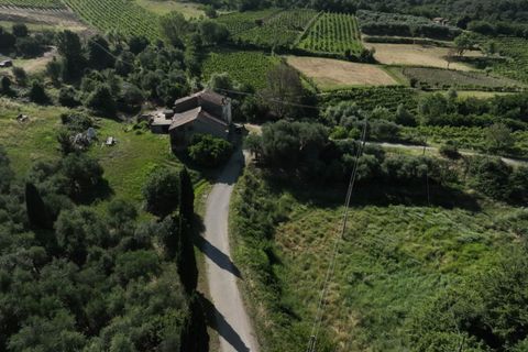 Helårsgrund i Cinto Euganeo, Padua, Cinto Euganeo - € 145.000 | Ref: TER 280 - foto 10