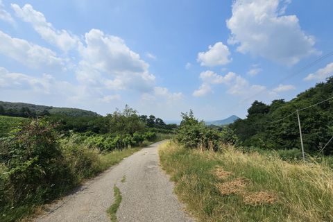 Helårsgrund i Cinto Euganeo, Padua, Cinto Euganeo - € 145.000 | Ref: TER 280 - foto 14