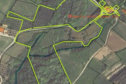 Helårsgrund i Cinto Euganeo, Padua, Cinto Euganeo - € 145.000 | Ref: TER 280 - foto 15