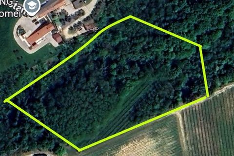 Helårsgrund i Cinto Euganeo, Padua, Cinto Euganeo - € 145.000 | Ref: TER 280 - foto 16