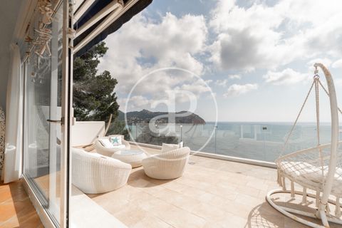 Villa i Capdepera, Mallorca, Capdepera - € 10 000/månad | Ref: APMS2507001 - foto 34