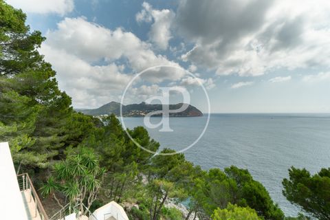 Villa i Capdepera, Mallorca, Capdepera - € 10 000/månad | Ref: APMS2507001 - foto 40