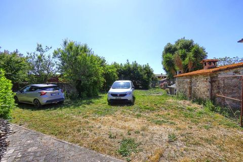 Farm hus i Suvereto, Livorno, Suvereto - € 595.000 | Ref: a3165ta2353169a - foto 16
