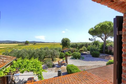 Farm hus i Suvereto, Livorno, Suvereto - € 595.000 | Ref: a3165ta2353169a - foto 17