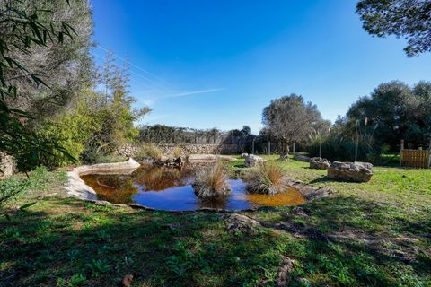 Landejendom i Capdepera, Mallorca, Capdepera - € 2.200.000 | Ref: 35890001_AA/11003 - foto 10