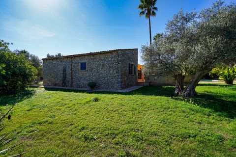 Landejendom i Capdepera, Mallorca, Capdepera - € 2.200.000 | Ref: 35890001_AA/11003 - foto 34