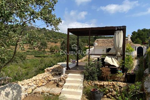 Villa i Lliber, Alicante, Lliber - € 310.000 | Ref: C31 - foto 3