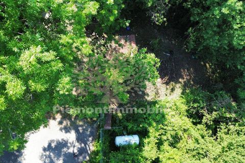 Næringseiendom i Coazze, Turin, Coazze - € 93 000 | Ref: 2193 - foto 27