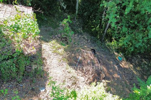 Næringseiendom i Coazze, Turin, Coazze - € 93 000 | Ref: 2193 - foto 28