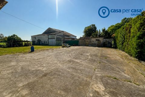 Villa a Papozze, Rovigo, Papozze - € 65.000 | Ref: ADA176 - foto 19