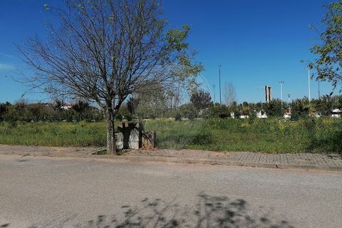 Helårsgrund i Alvito, Beja, Alvito - € 355.000 | Ref: VA-125501022-217 - foto 3