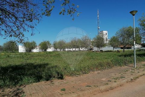 Helårsgrund i Alvito, Beja, Alvito - € 355.000 | Ref: VA-125501022-217 - foto 4