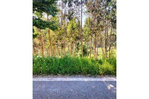 Terra a Luso, Aveiro, Luso - € 29.500 | Ref: SÒL_434 - foto 3